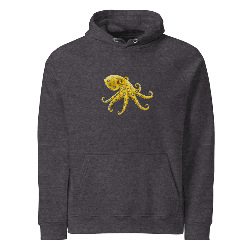 Polpo Unisex eco raglan hoodie thumbnail 4