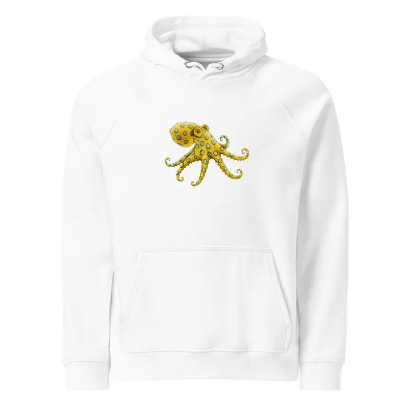 Polpo Unisex eco raglan hoodie