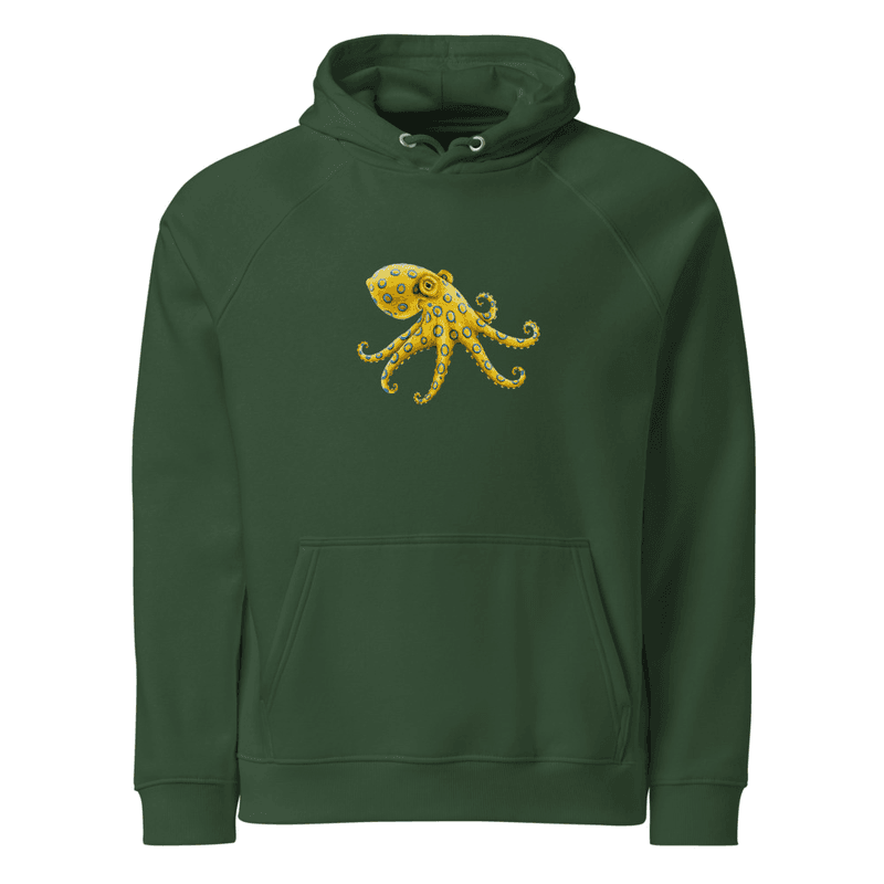 Polpo Unisex eco raglan hoodie thumbnail 5