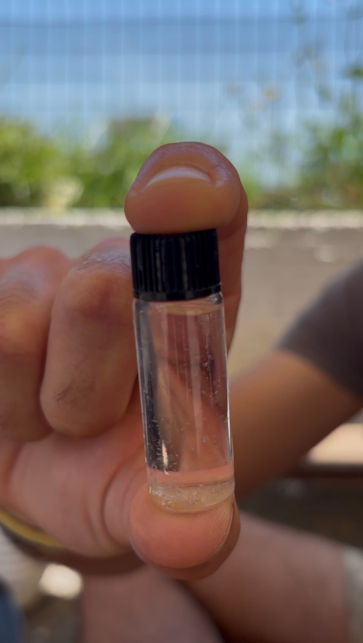 Spedizione Pelagos: Campus biologia marina in Barca a Vela
