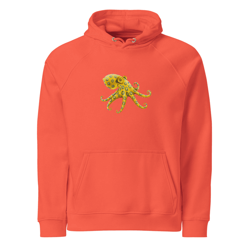 Polpo Unisex eco raglan hoodie thumbnail 6