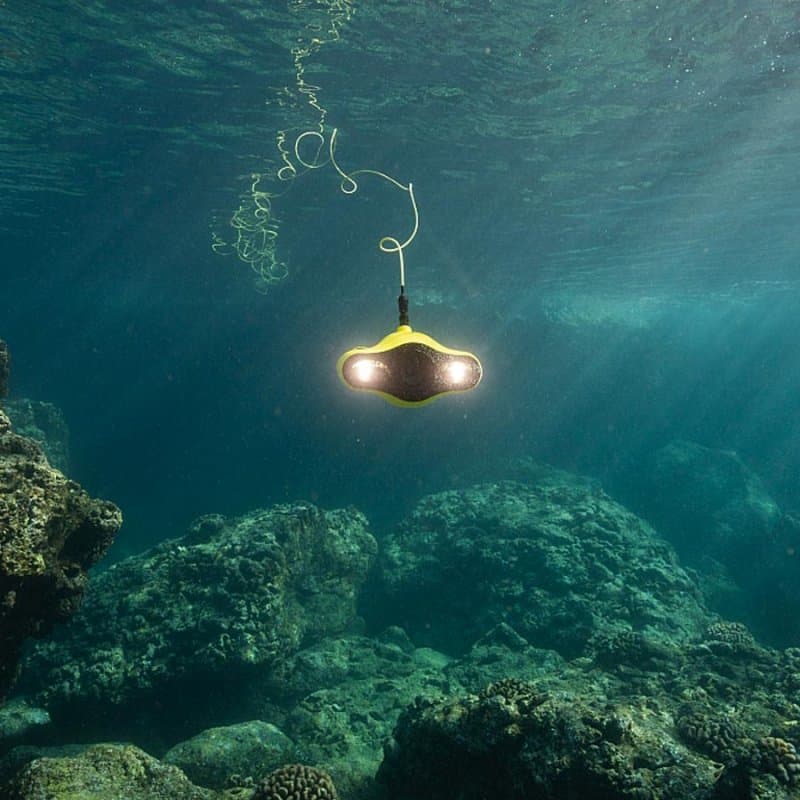 Ricercatori in Vela Latina: Naviga la Storia, Proteggi il Futuro.