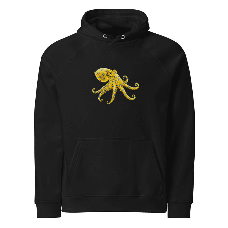 Polpo Unisex eco raglan hoodie thumbnail 2