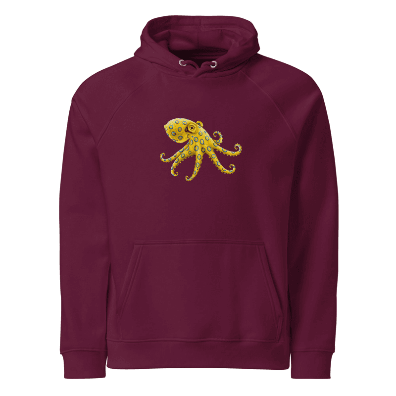 Polpo Unisex eco raglan hoodie thumbnail 3