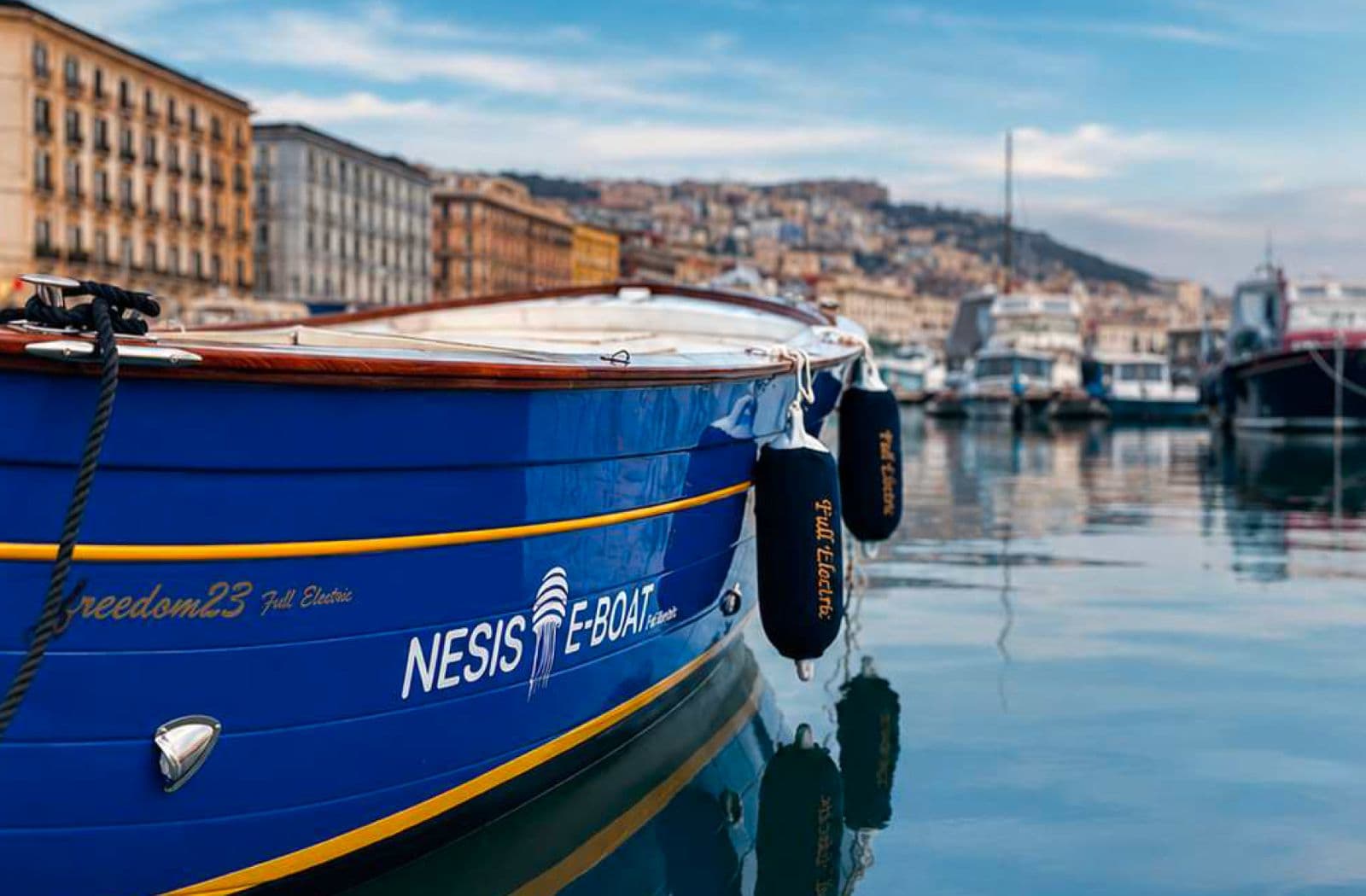 Tour di Biologia Marina in Gozzo Elettrico: la Vita Sommersa di Posillipo
