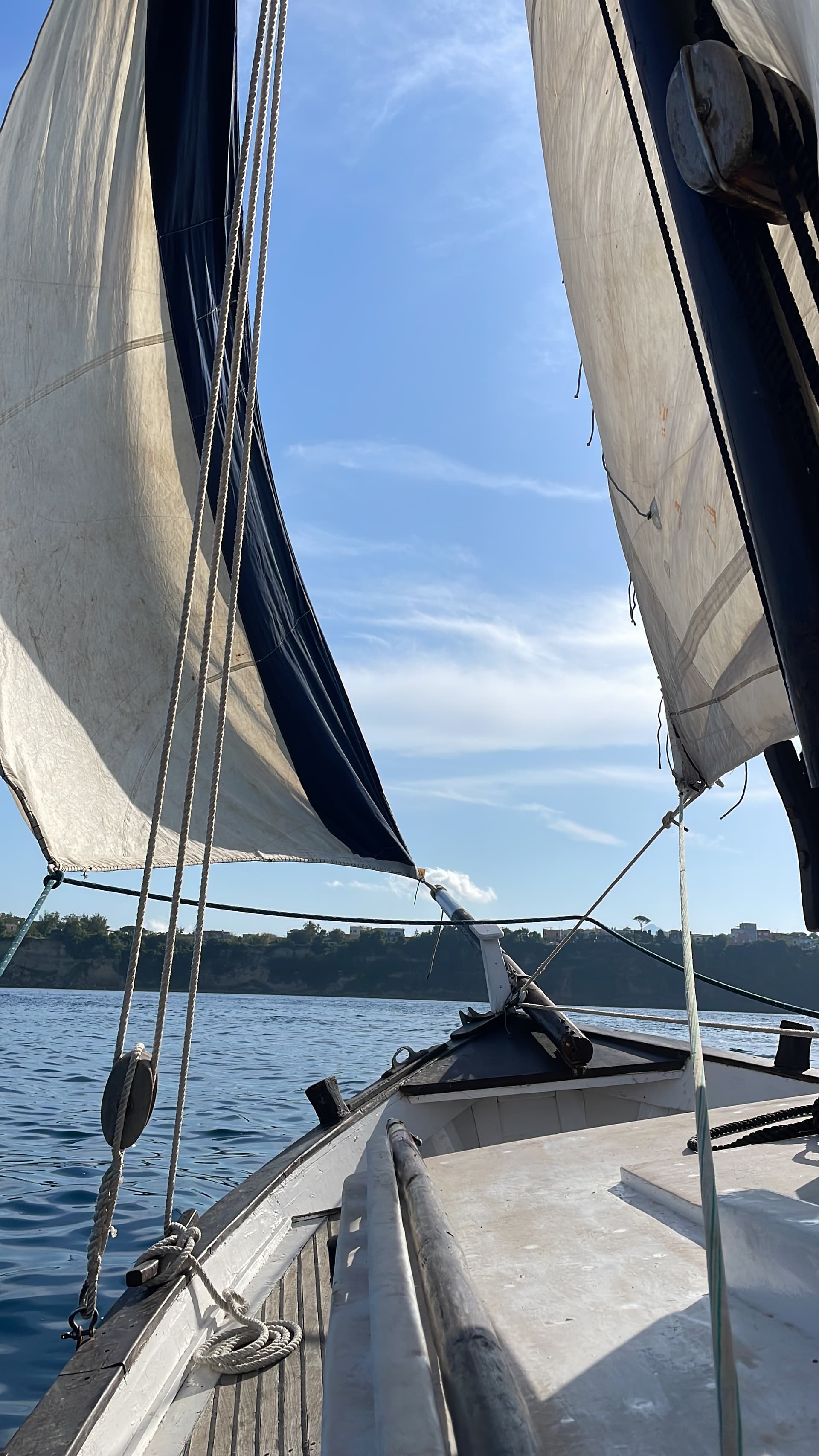 Spedizione in barca a Vela Latina: Campus Biologia Marina