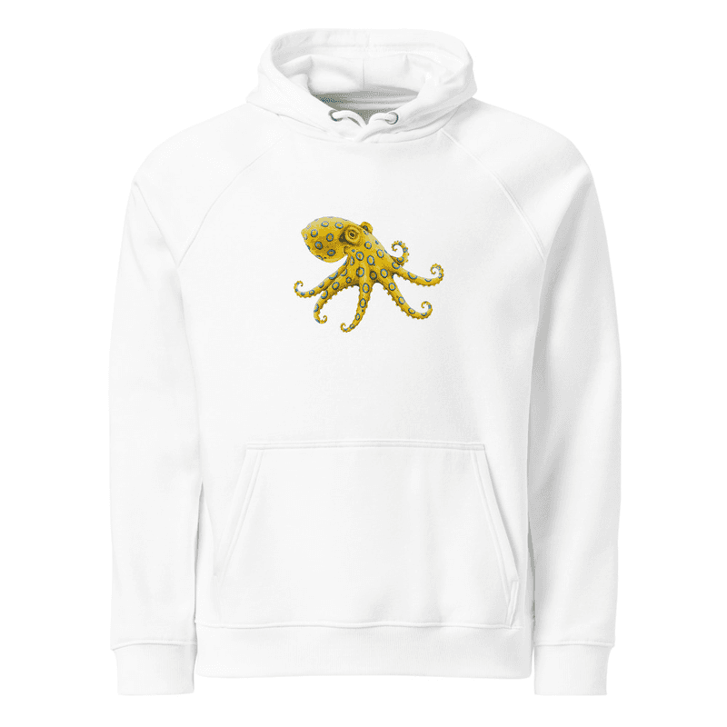 Polpo Unisex eco raglan hoodie thumbnail 1