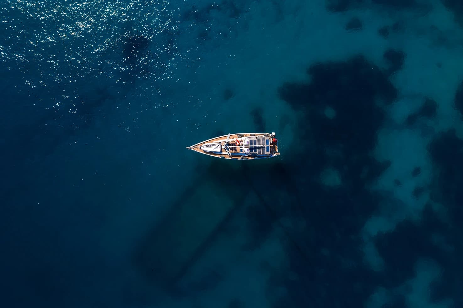 Spedizione Pelagos: Campus biologia marina in Barca a Vela