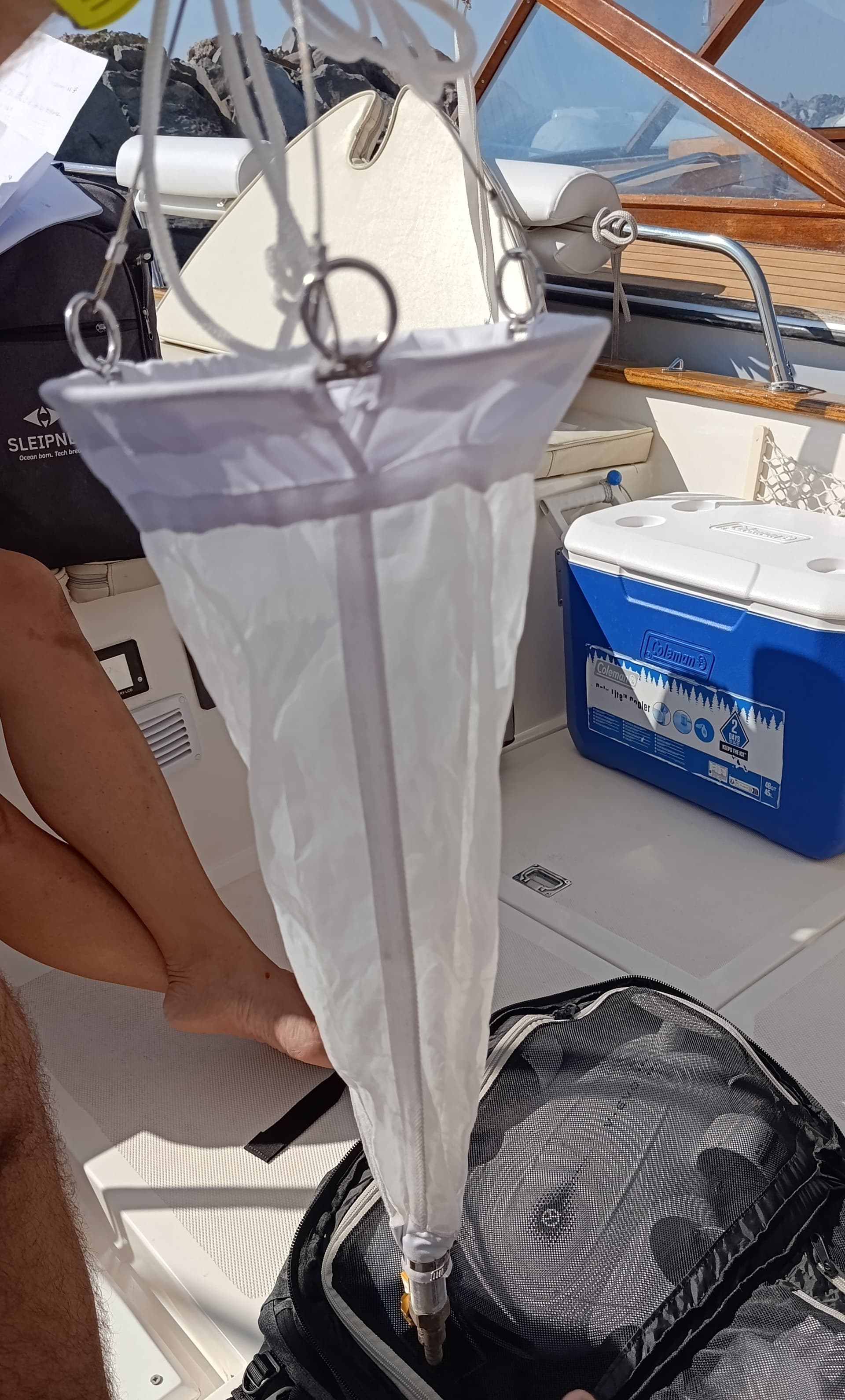 Tour di Biologia Marina in Gozzo Elettrico: la Vita Sommersa di Posillipo