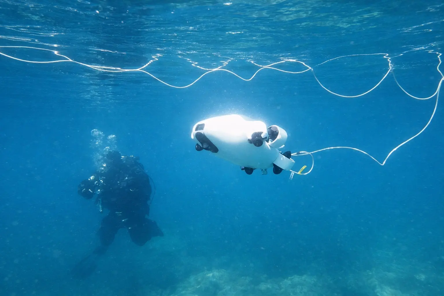 Spedizione Pelagos: Campus biologia marina in Barca a Vela